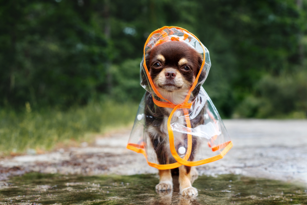 best summer raincoat