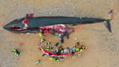 A 16-metre-long fin whale washed up on Fistral Beach, Newquay in Cornwall on November 15. (SWNS)