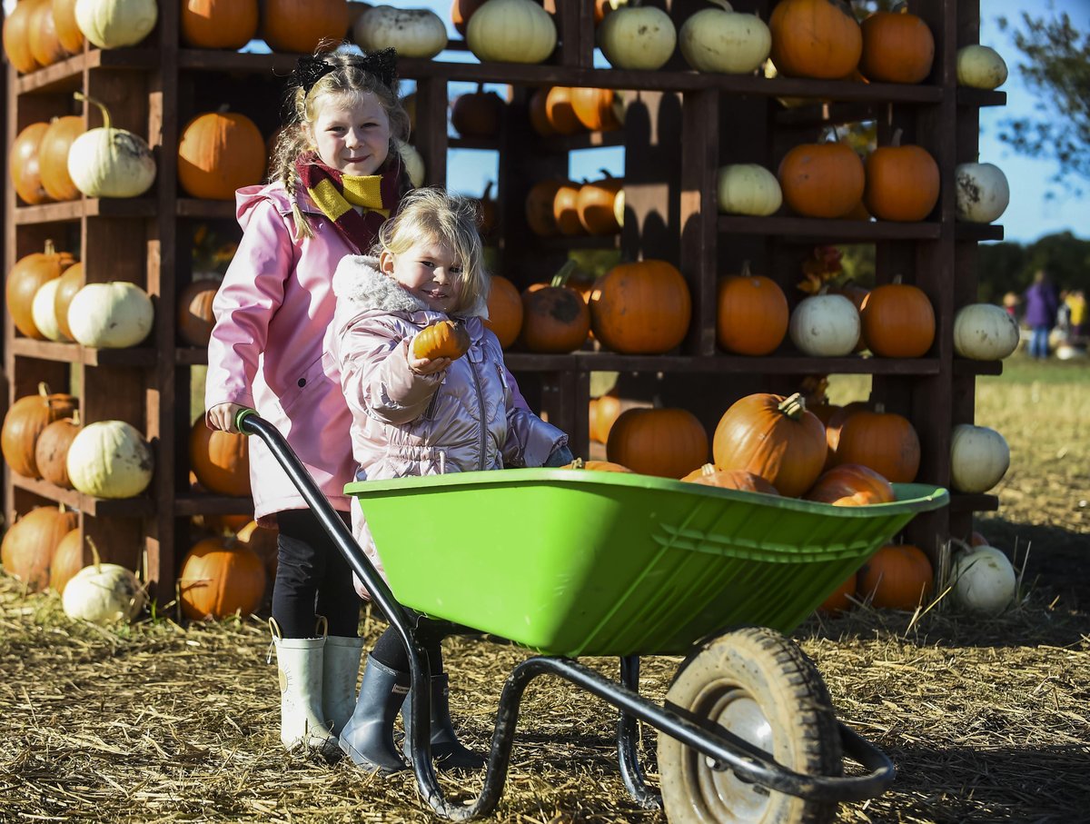 'Much-loved' pumpkin festival at Scottish farm axed in 'end of an era'