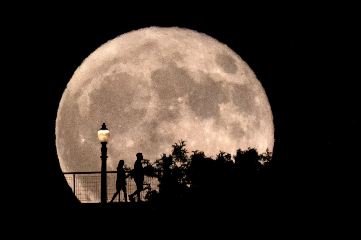 The 10 best pictures of a rare blue supermoon lighting up the sky around the world