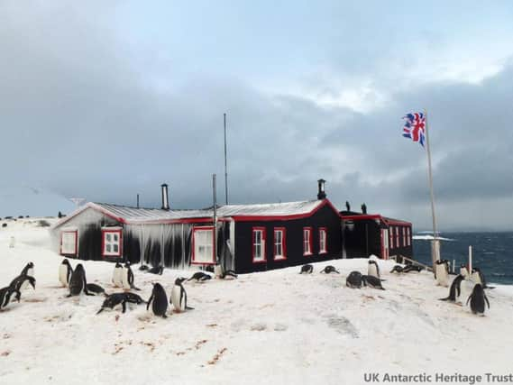 Among other duties, Laura MacNeil will be counting penguins.