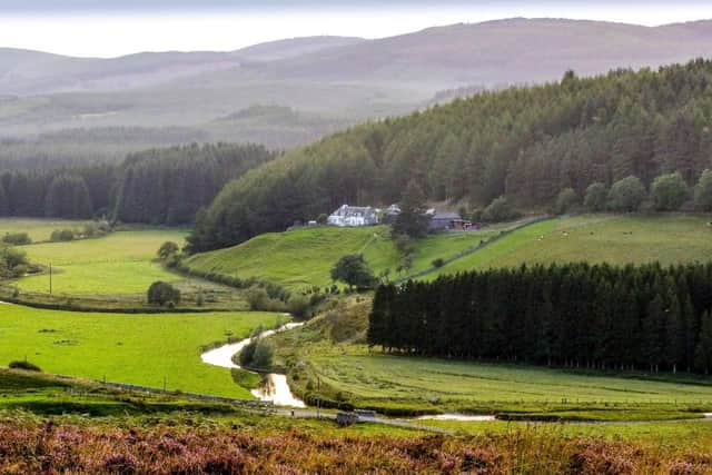 Picture: Meadshaw Farmhouse Apartment, Scottish Borders