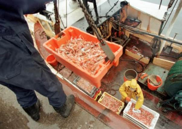 A prawn fishing trailer. Picture: TSPL