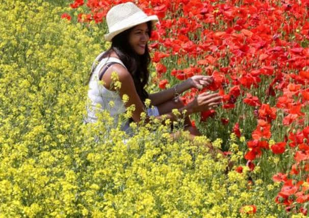 A Brighton meadow yesterday suggests blooming hot weather is heading north. Picture: PA