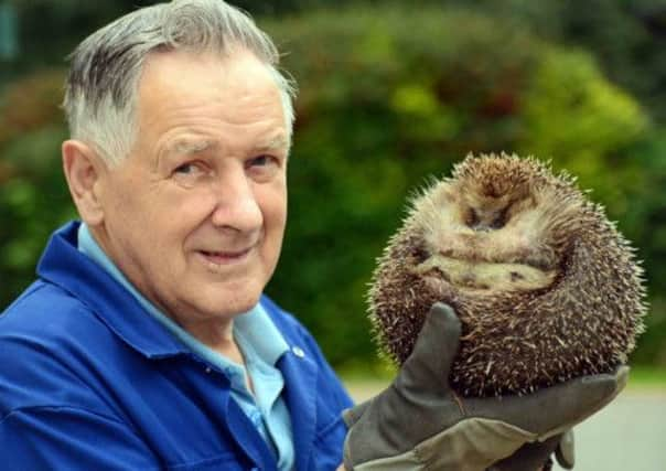 Edinburgh the hedgehog, alongside Sandy Boyd of Wormit Hedgehog Care Centre. Picture: Deadline