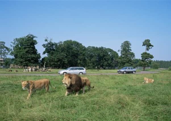 Blair Drummond Safari Park. Picture: VisitScotland