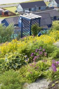 The view over the pergola to village of Scalloway. Picture: Ray Cox (www.rcoxgardenphotos.co.uk)