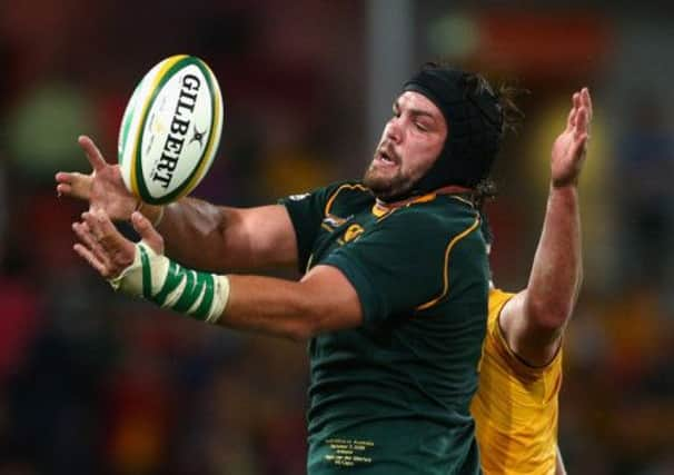 Flip van der Merwe expects a tough test against Scotland. Picture: Getty