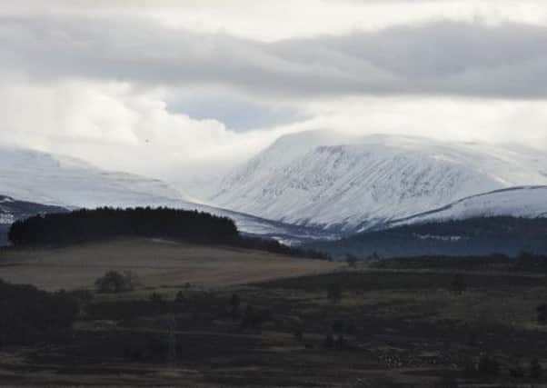 Campaigners have warned of nature being "privatised" ahead of a conference in Edinburgh. Picture: Ian Rutherford