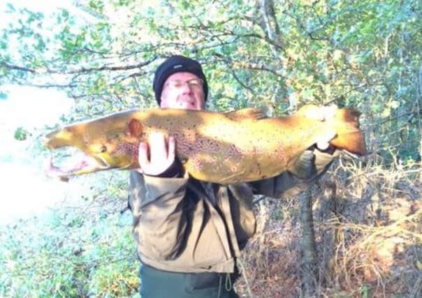 The salmon, estimated to weigh over fifty pounds. Picture: Contributed