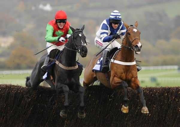 Taquin Du Seuil will take on Oscar Whisky tomorrow. Picture: Getty