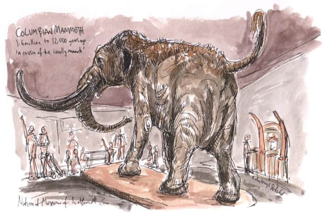 A day at the National Museum of Scotland. Illustration: EdinburghSketcher/Mark Kirkham