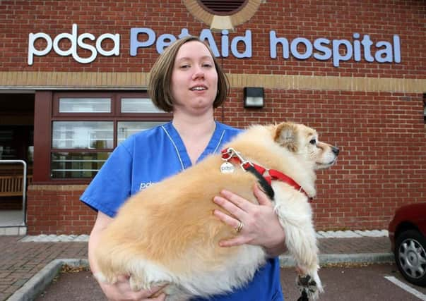 More and more dogs like Scooby, a 13-year-old dog who weighs 16.3kg, are being put on a strict diet in the UK. Picture: PA