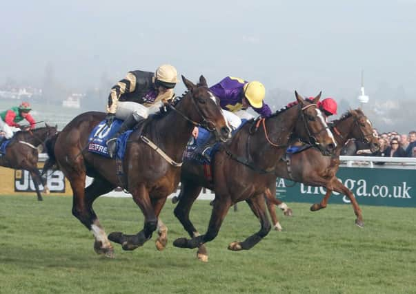 Lord Windermere and Davy Russell,  purple silks, clinch victory in the Cheltenham Gold Cup. Picture: John Grossick