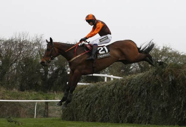 Warne and Sam WaleyCohen clear the open ditch at Aintree. Picture: Reuters