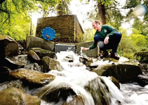 Graham Stewart at the site of the generator water outlet and sedum thatched shed. Picture: Phil Wilkinson