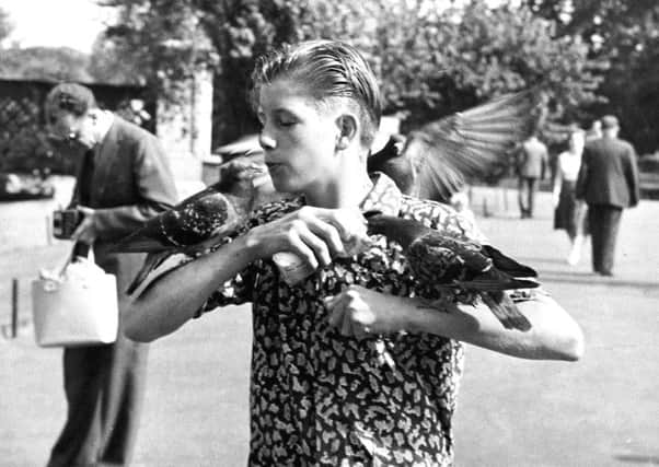 A young Terry Nutkins, who Maxwell took under his wing.  Picture: contributed