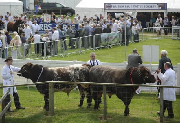 Being in the UK is best for nations beef, says Rural Better Together. Picture: Esme Allen