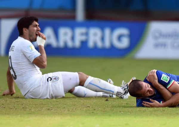 Uruguay's forward Luis Suarez grips his teeth as Italy's defender Giorgio Chiellini clasps his shoulder after the incident. Picture: Getty