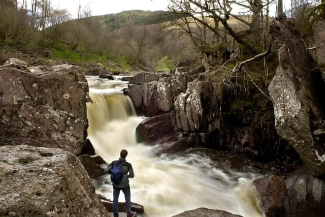 The researchers were surprised to find that the social element of group walks had no impact on mental well-being, which suggests the improvement was purely down to the natural environment. Picture: Robert Perry