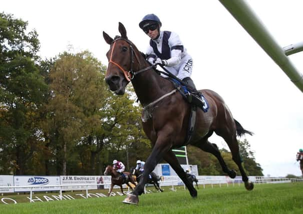 Irish Girls Spirit heads for Hamilton success. Picture: John Grossick