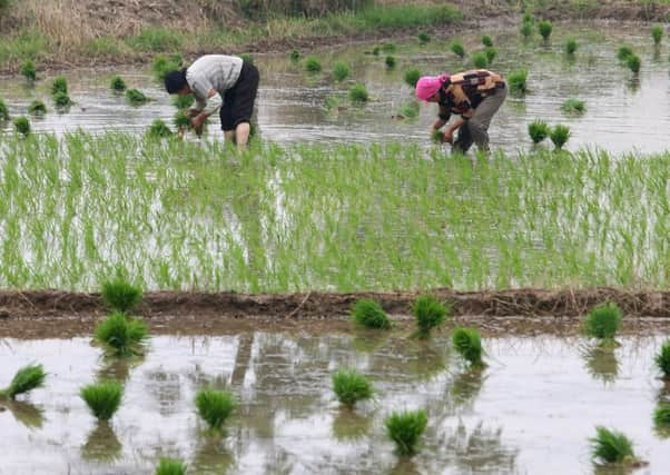 Men in rural areas of China often struggle to find wives. Picture: AP