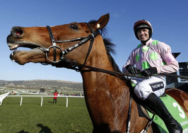 Ruby Walsh steersFaugheen back to the winners enclosure after his Champion Hurdle win. Picture: Getty