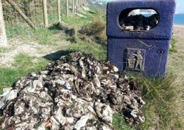 Just some of the waste picked up by volunteers on one of Scotland's beaches. Picture: Contributed