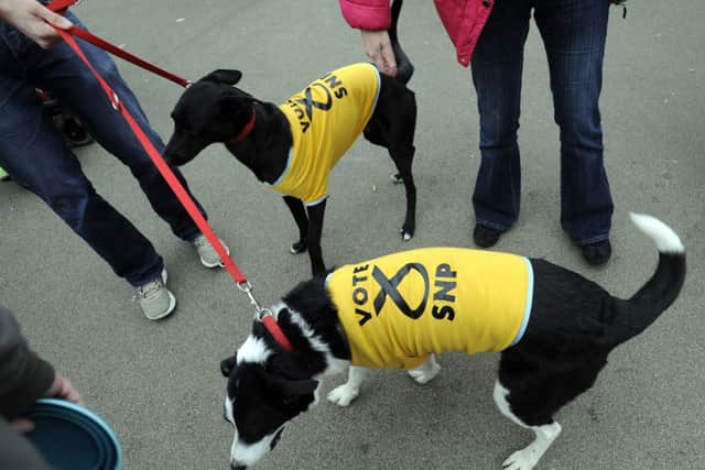 Dogs backing the SNP pictured at a rally against Trident. Picture: Getty