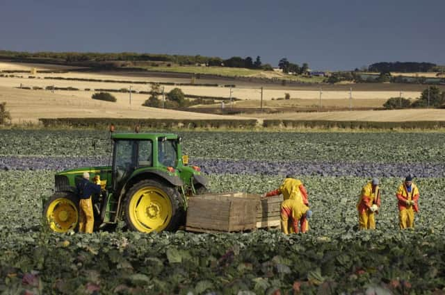 Scotland has abundant agricultural resources but more research and better practice is needed. Picture: TSPL