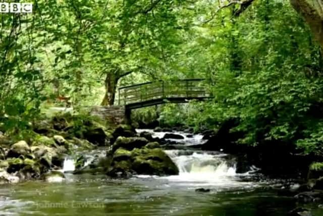 Johnnie Lewson's film of a waterfall on the River Bonet is an internet hit. Picture: Contributed