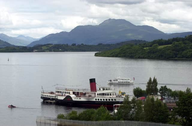 A stunning landscape like Ben Lomond remains that way through a solid programme of care and regeneration. Picture: Allan Milligan