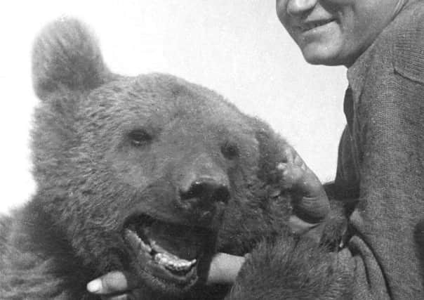 Wojtek thebear