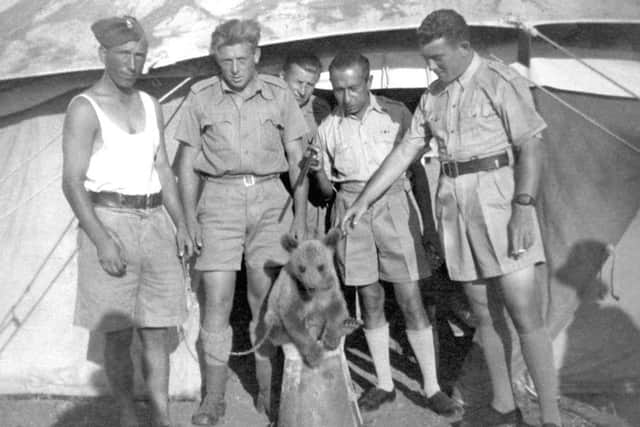 Wojtek grew up with Polish troops.