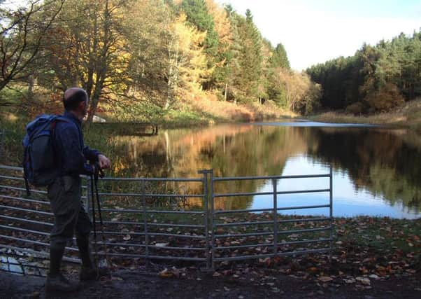 The pond at Ferniehaugh. Picture: Robin Howie