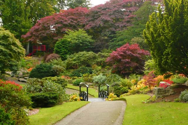 Johnston Gardens - an oasis of calm in the city