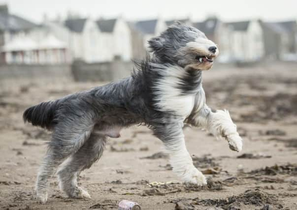 Winds of up to 90mph have been recorded in South Uist. Picture: PA