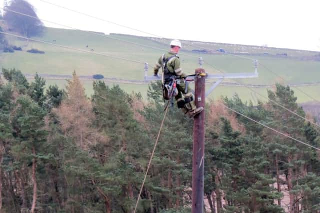 SP Energy workers install the fake polls. Picture: Deadline News