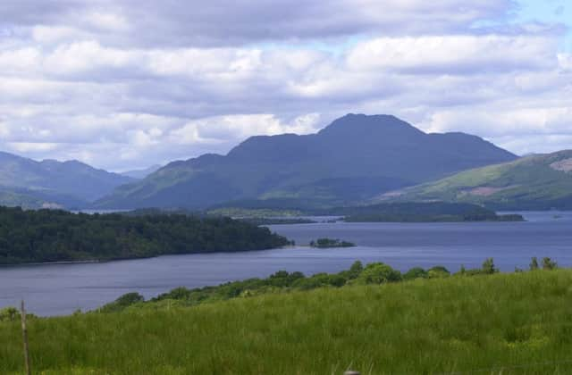 The beauty of the Great Trossachs Forest can now be enjoyed by virtual visitors. Picture: Allan Milligan