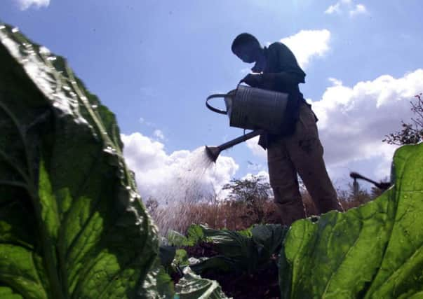 Droughts in Malawi are making feeding starving families a real struggle. Picture: AP