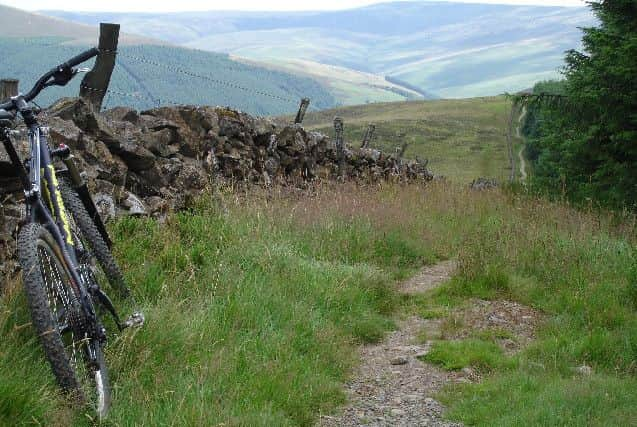 The stunning views at Glentress. Picture: Flickr