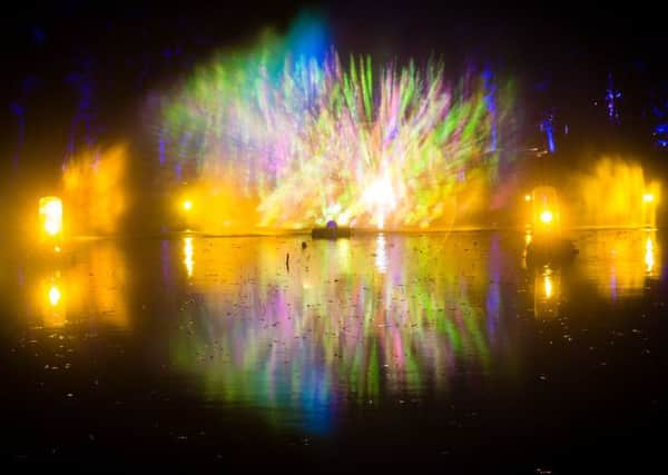 The Enchanted Forest attracted record crowds. Picture: Angus Forbes