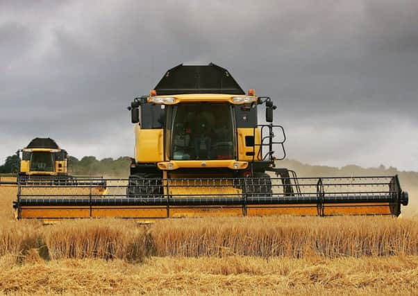 The AHDB said barley producers should 'wait and see' for new varieties. Picture: Scott Barbour/Getty Images