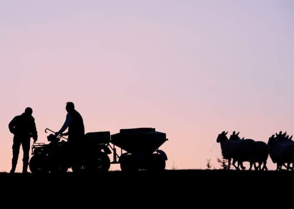 The SRUC report found Brexit uncertainty could have a negative impact on the rural economy. Picture: Ian Rutherford