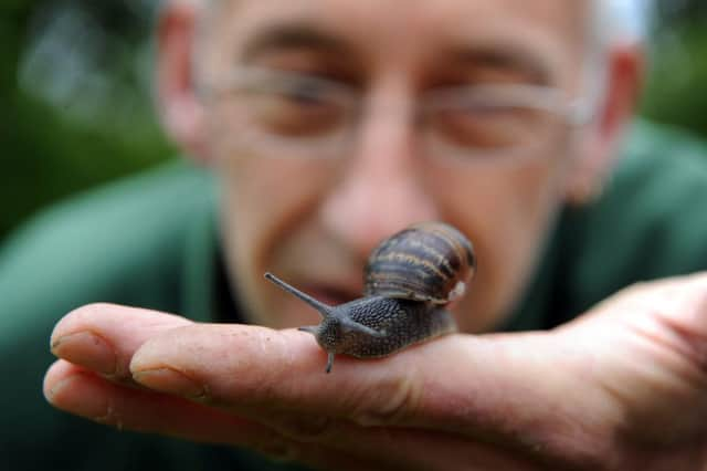 Dead snails in frozen food is one of the top complaints. Picture: Jayne Wright