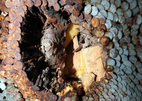 Signs of erosion on David Mach's 'PHANTOM' sculpture. Picture: Fife Photo Agency