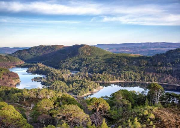 Caledonian Forest in Glen Affric. Picture: Contributed