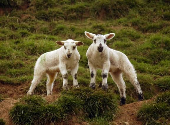 A man is being sought over a sexual assault offence on a farm track in North Lanarkshire. Picture: Phil Wilkinson