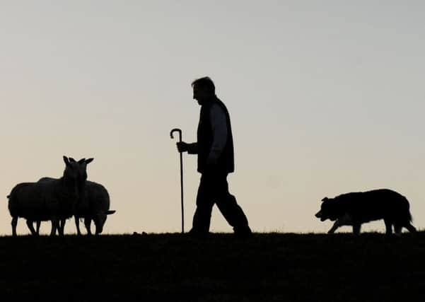 The Scottish Government has been urged to engage in mediation with affected tenants. Picture: Ian Rutherford