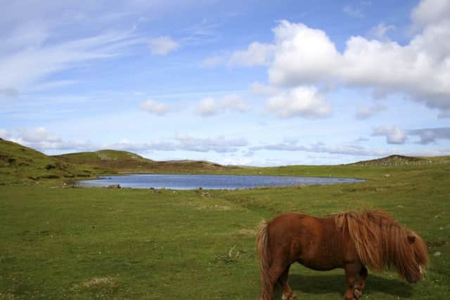 '˜Shetland Islands could stay in UK if Scotland is independent'
